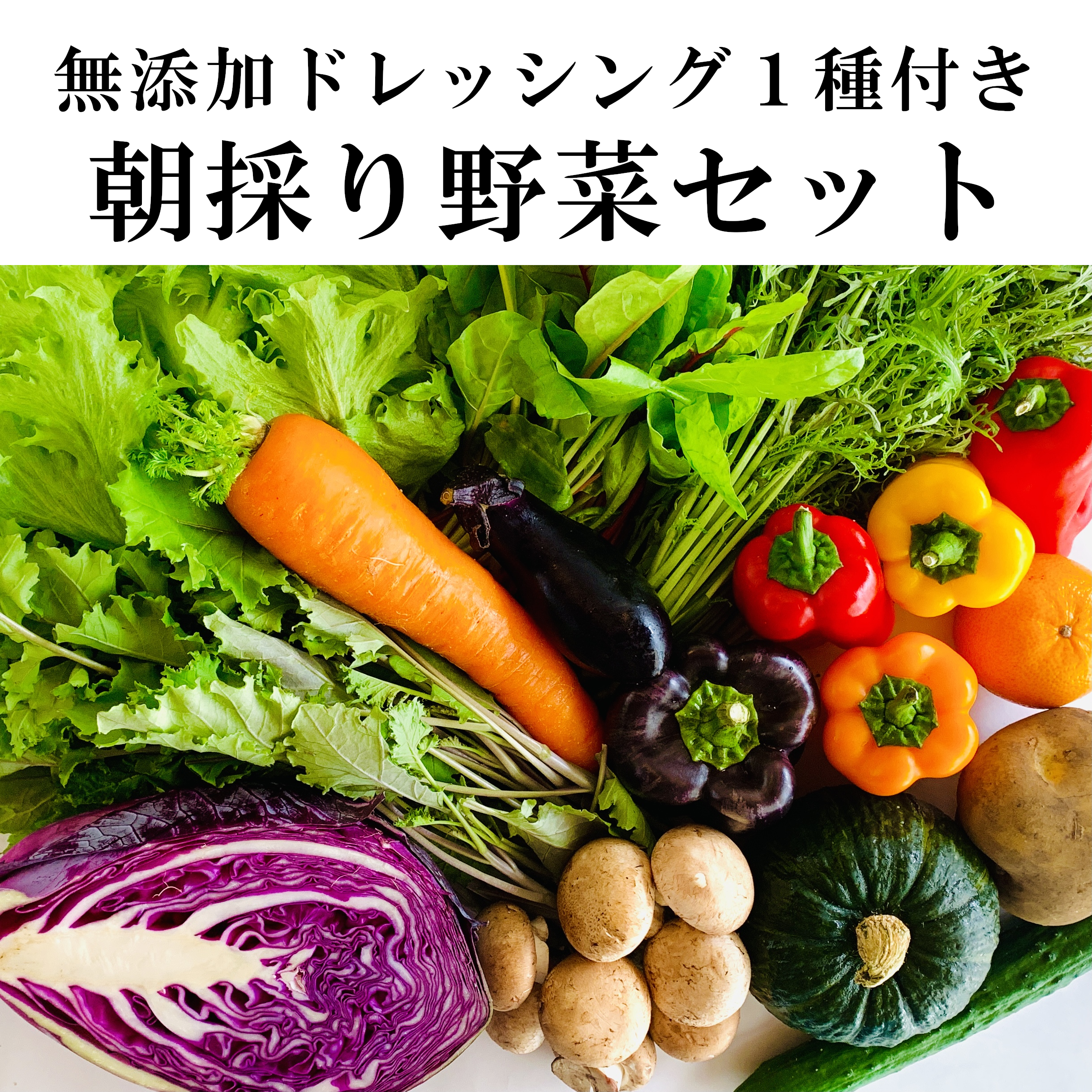 無農薬・減農薬　野菜詰め合わせ６種セット